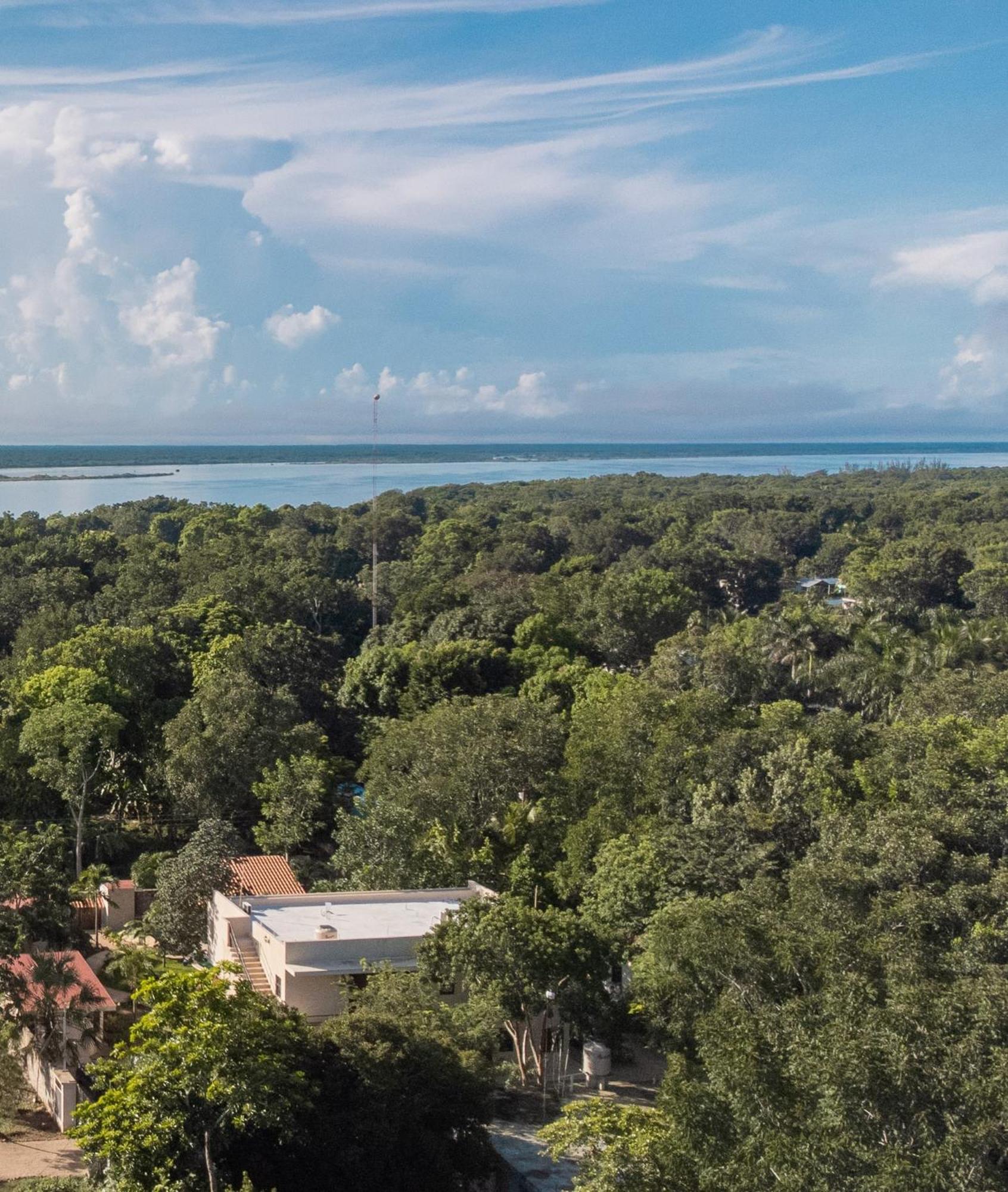 Casa Cactus Buenavista Villa Bacalar Bagian luar foto